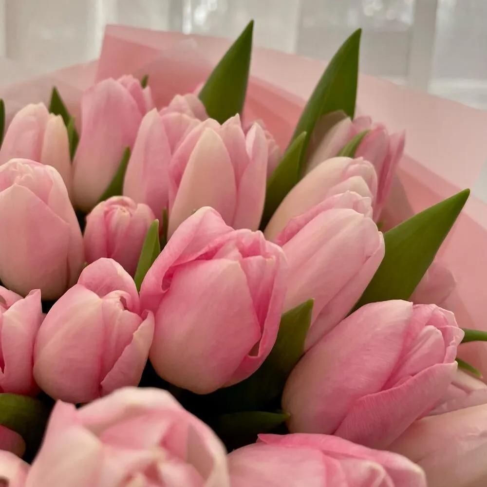Букет из 25 тюльпанов нежность
