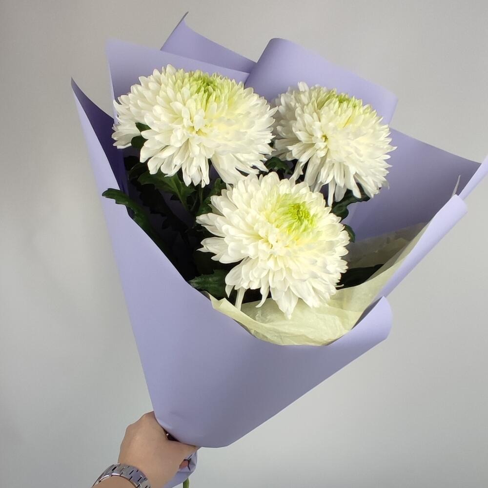 Купить Букет из 3 одноголовых хризантем на сайте магазина Цветочный Рай в  Новороссийске